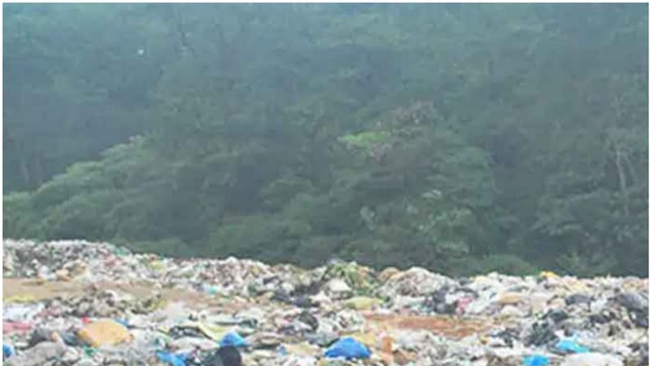 മാലിന്യം വലിച്ചെറിഞ്ഞാൽ പൂട്ടാൻ വാട്സാപ്പ് തന്ത്രം, കയ്യോടെ പിടിവീഴും; പുതിയ നീക്കവുമായി മൂന്നാർ പഞ്ചായത്ത്!