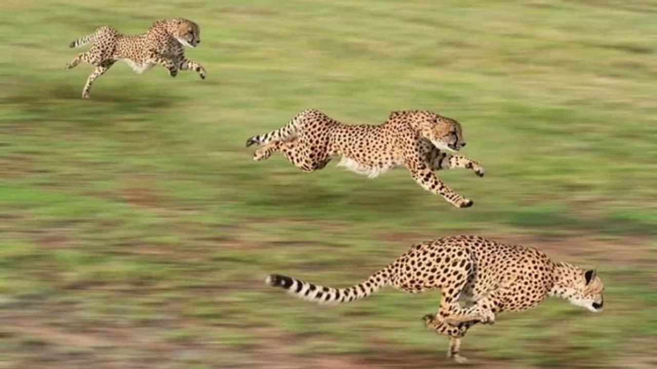 సంభోగం సమయంలో తీవ్ర గాయాలు..! తేజస్‌ మరణానికి అసలు కారణమదేనా..?