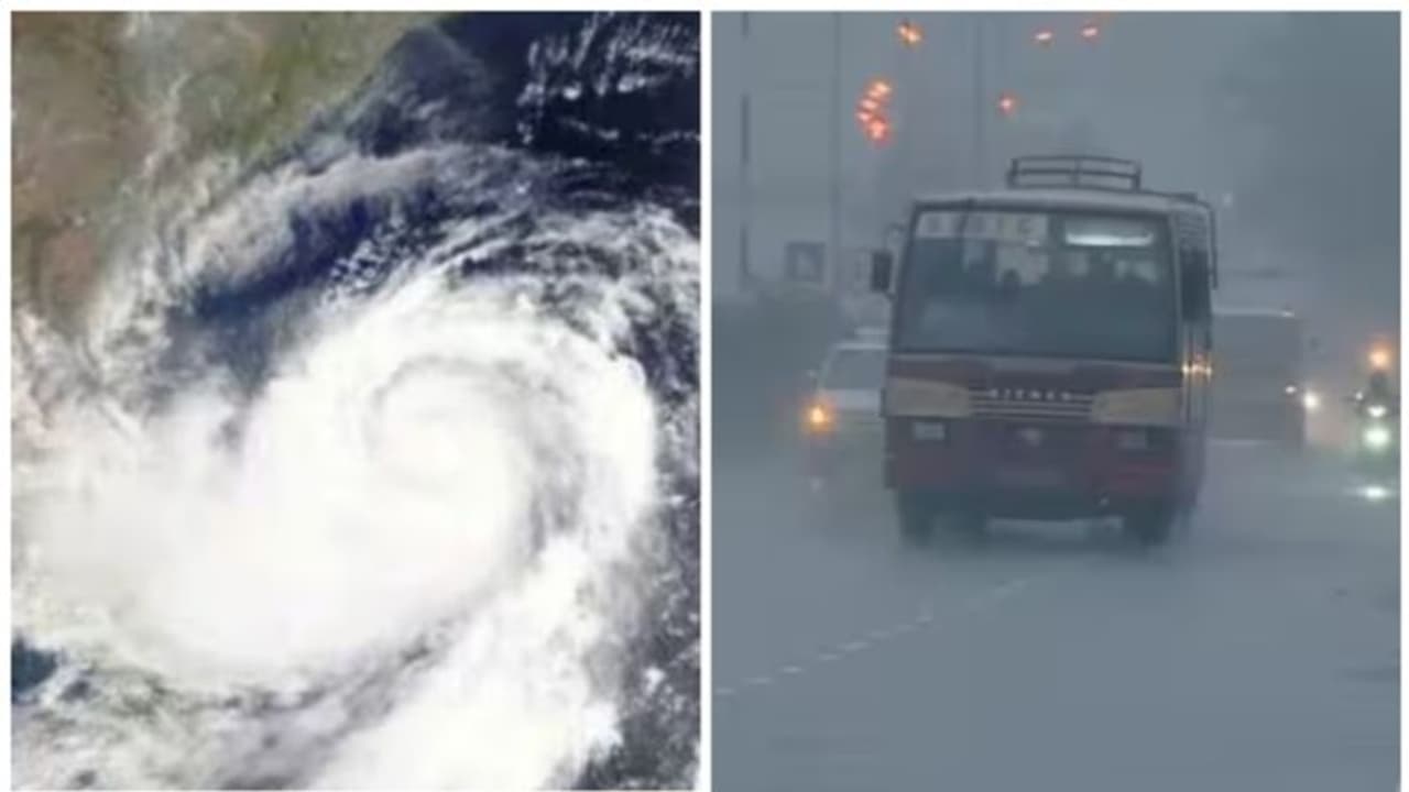 மற்றொரு புயல்? அடுத்த 48 மணி நேரத்தில் அரபிக்கடலில் குறைந்த காற்றழுத்த தாழ்வு பகுதி.. வானிலை மையம் எச்சரிக்கை மற்றொரு புயல்? அடுத்த 48 மணி நேரத்தில் அரபிக்கடலில் குறைந்த காற்றழுத்த தாழ்வு பகுதி.. வானிலை மையம் எச்சரிக்கை