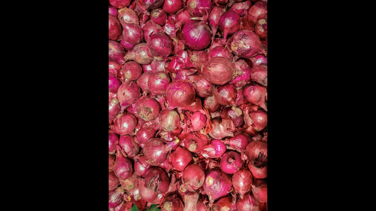 ಈರುಳ್ಳಿ ಬೇಗ ಕೊಳೆವುದನ್ನು ತಪ್ಪಿಸಲು ವಿಕಿರಣ ಚಿಕಿತ್ಸೆ; ಗಾಮಾ ಕಿರಣ ಹರಿಸಿ ಆಯಸ್ಸು ಹೆಚ್ಚಿಸಲು ಪ್ಲ್ಯಾನ್‌