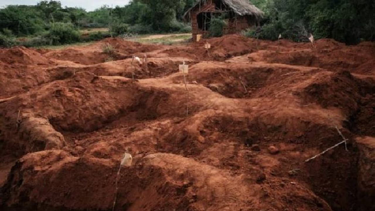 മതപുരോഹിതന്റെ നിർദ്ദേശം, കൂട്ടമരണം, കണ്ടെത്തിയ മൃതദേഹങ്ങളിൽ അവയവങ്ങൾ പലതുമില്ലെന്ന് റിപ്പോർട്ട്