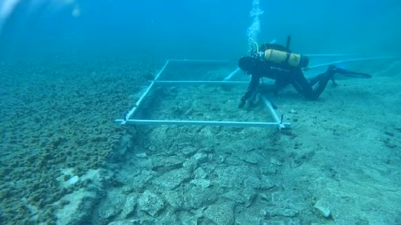 സമുദ്രത്തിന്റെ അടിത്തട്ടിൽ 7,000 വർഷം പഴക്കമുള്ള ഹൈവേ! കണ്ടെത്തലുമായി പുരാവസ്തു ഗവേഷകർ സമുദ്രത്തിന്റെ അടിത്തട്ടിൽ 7,000 വർഷം പഴക്കമുള്ള ഹൈവേ! കണ്ടെത്തലുമായി പുരാവസ്തു ഗവേഷകർ