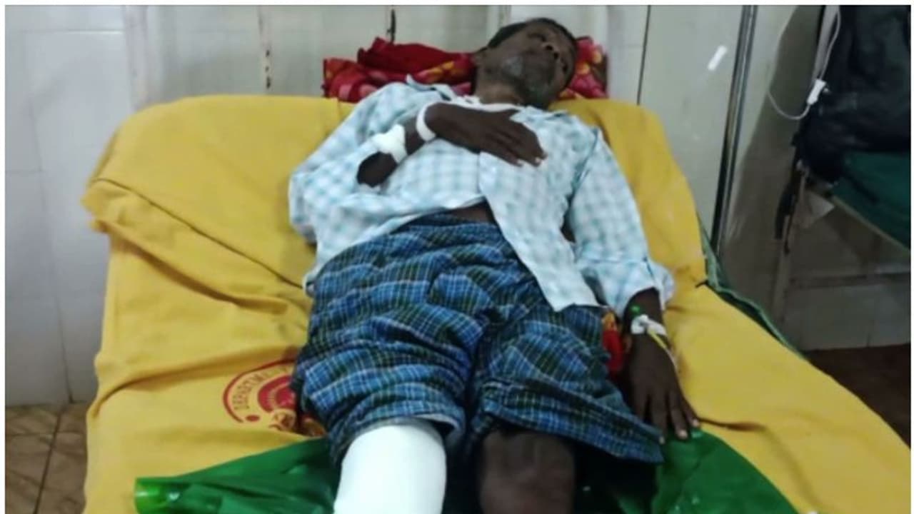 വയനാട് തോല്‍പ്പെട്ടിയിൽ കാട്ടാനയുടെ ആക്രമണത്തില്‍ വയോധികന് പരിക്കേറ്റു