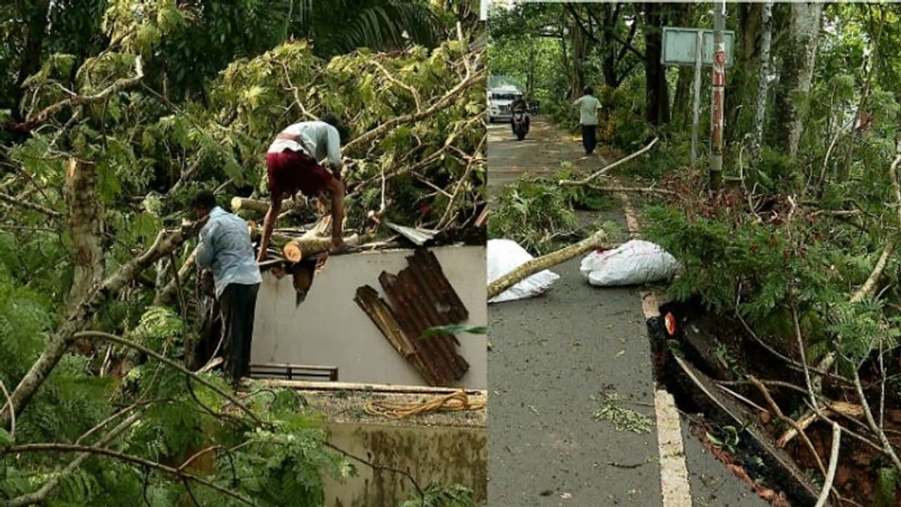 തിരുവനന്തപുരത്ത് മിന്നൽ ചുഴലി, വേനൽമഴ: ഒരാൾക്ക് പരിക്ക്, വൻ നാശം; കണ്ണൂരിൽ നായ മിന്നലേറ്റ് ചത്തു തിരുവനന്തപുരത്ത് മിന്നൽ ചുഴലി, വേനൽമഴ: ഒരാൾക്ക് പരിക്ക്, വൻ നാശം; കണ്ണൂരിൽ നായ മിന്നലേറ്റ് ചത്തു