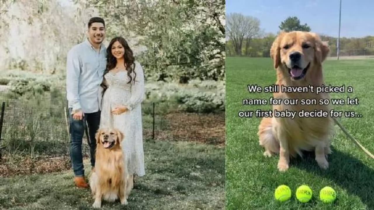 ജനിക്കാൻ പോകുന്ന കുഞ്ഞിൻറെ പേരിടൽ വ്യത്യസ്തമാക്കി ദമ്പതികൾ; പേര് തിരഞ്ഞെടുത്തത് വളർത്തു നായ ജനിക്കാൻ പോകുന്ന കുഞ്ഞിൻറെ പേരിടൽ വ്യത്യസ്തമാക്കി ദമ്പതികൾ; പേര് തിരഞ്ഞെടുത്തത് വളർത്തു നായ