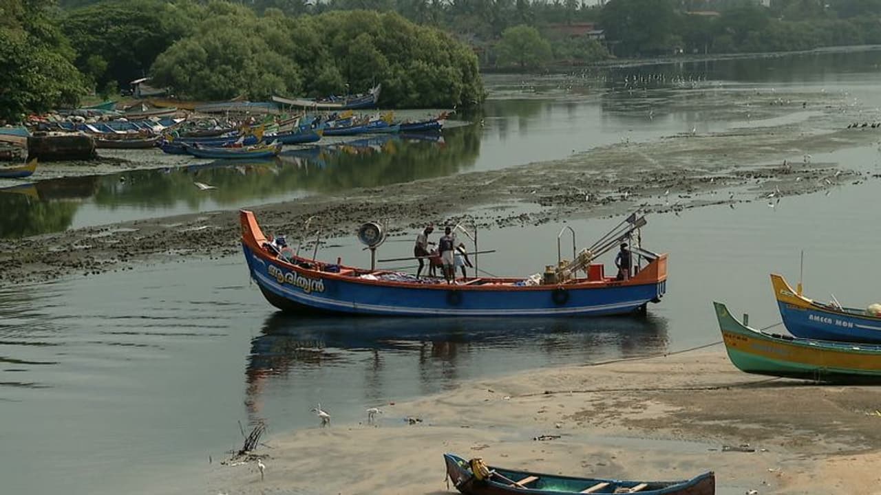 കല്ലായിപ്പുഴയിൽ ചെളി നീക്കം അനിശ്ചിതത്വത്തിൽ; കോഴിക്കോട് നഗരം വെള്ളത്തിലാകുമെന്ന് ആശങ്ക കല്ലായിപ്പുഴയിൽ ചെളി നീക്കം അനിശ്ചിതത്വത്തിൽ; കോഴിക്കോട് നഗരം വെള്ളത്തിലാകുമെന്ന് ആശങ്ക