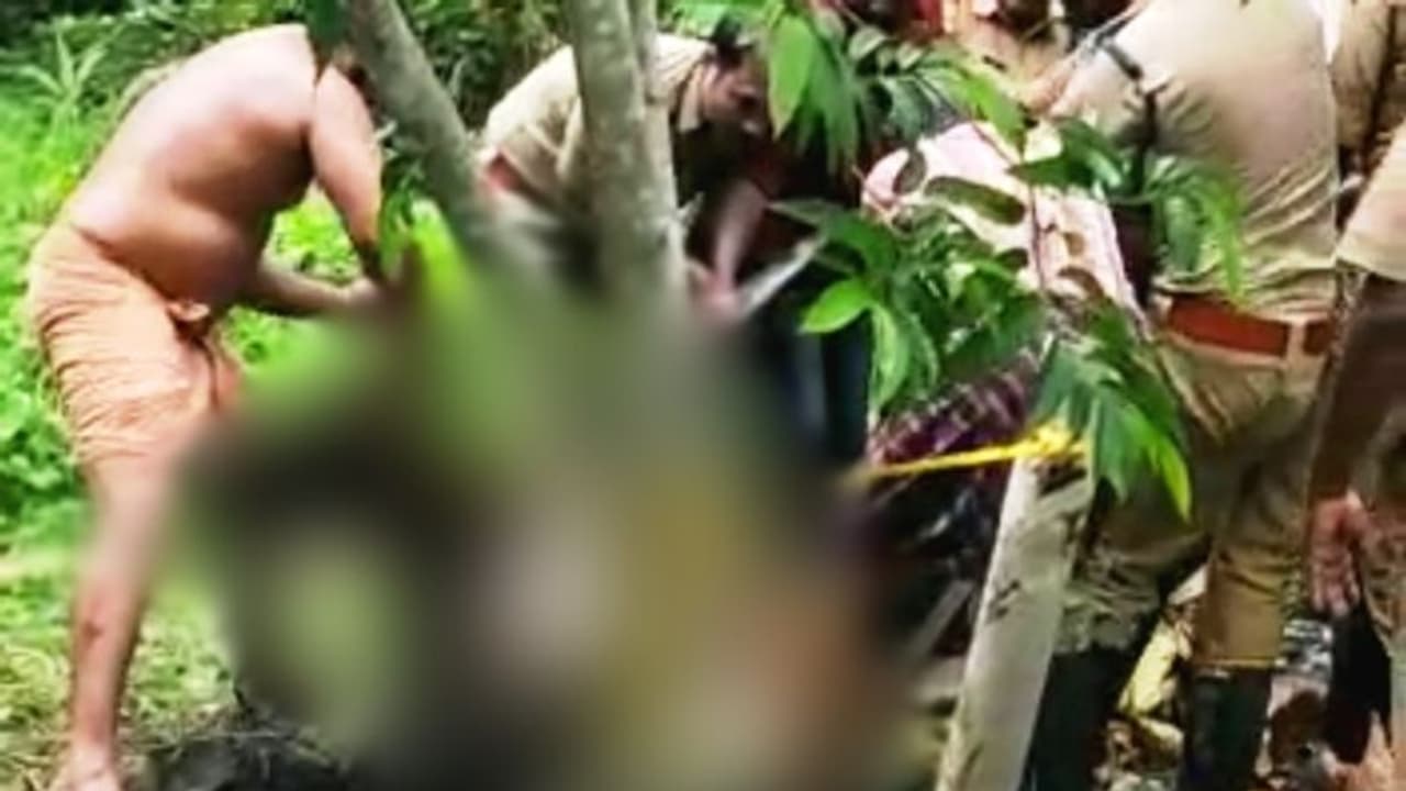 'പറമ്പിലൂടെ നടക്കുന്നതിനിടെ കോൺക്രീറ്റ് തകർന്ന് കക്കൂസ് ടാങ്കിൽ വീണു'; ഒടുവിൽ പശുവിനെ രക്ഷിച്ചത് ഫയർഫോഴ്സ് 'പറമ്പിലൂടെ നടക്കുന്നതിനിടെ കോൺക്രീറ്റ് തകർന്ന് കക്കൂസ് ടാങ്കിൽ വീണു'; ഒടുവിൽ പശുവിനെ രക്ഷിച്ചത് ഫയർഫോഴ്സ്