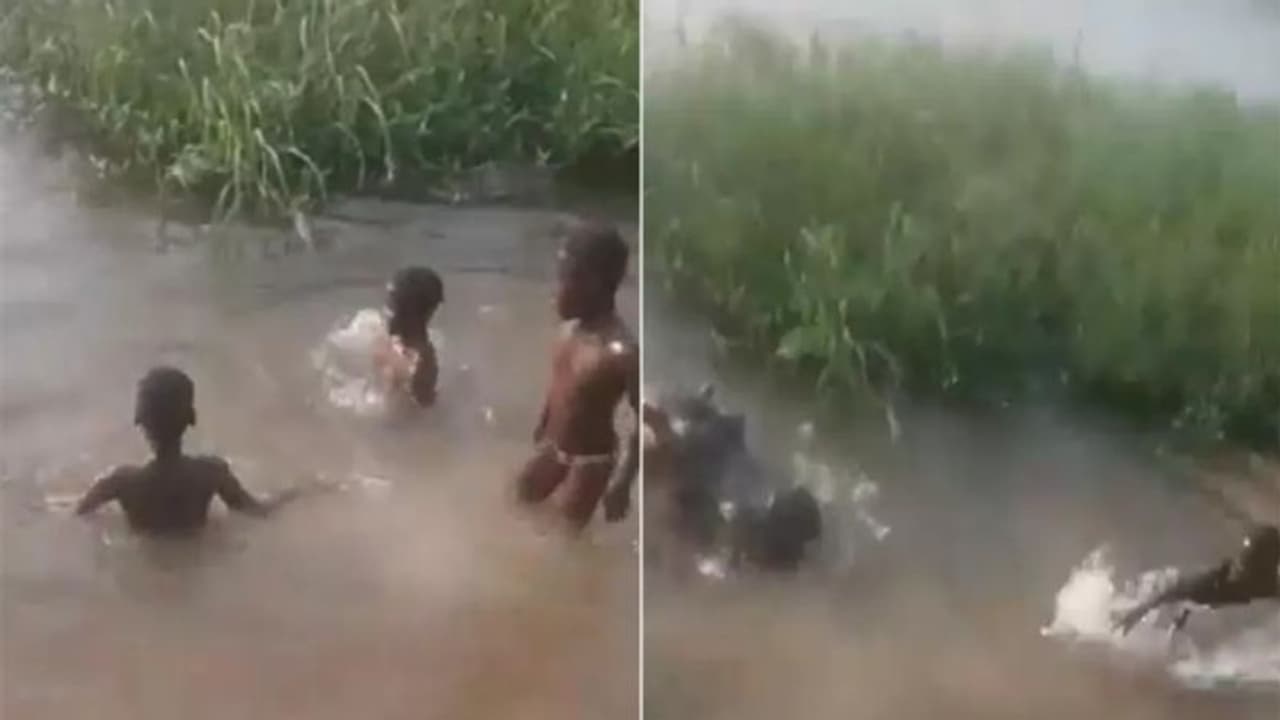 പുഴയില്‍ കളിക്കുന്നതിനിടെ കുട്ടിയെ വിഴുങ്ങി ഹിപ്പൊപ്പൊട്ടാമസ്; വീഡിയോ...