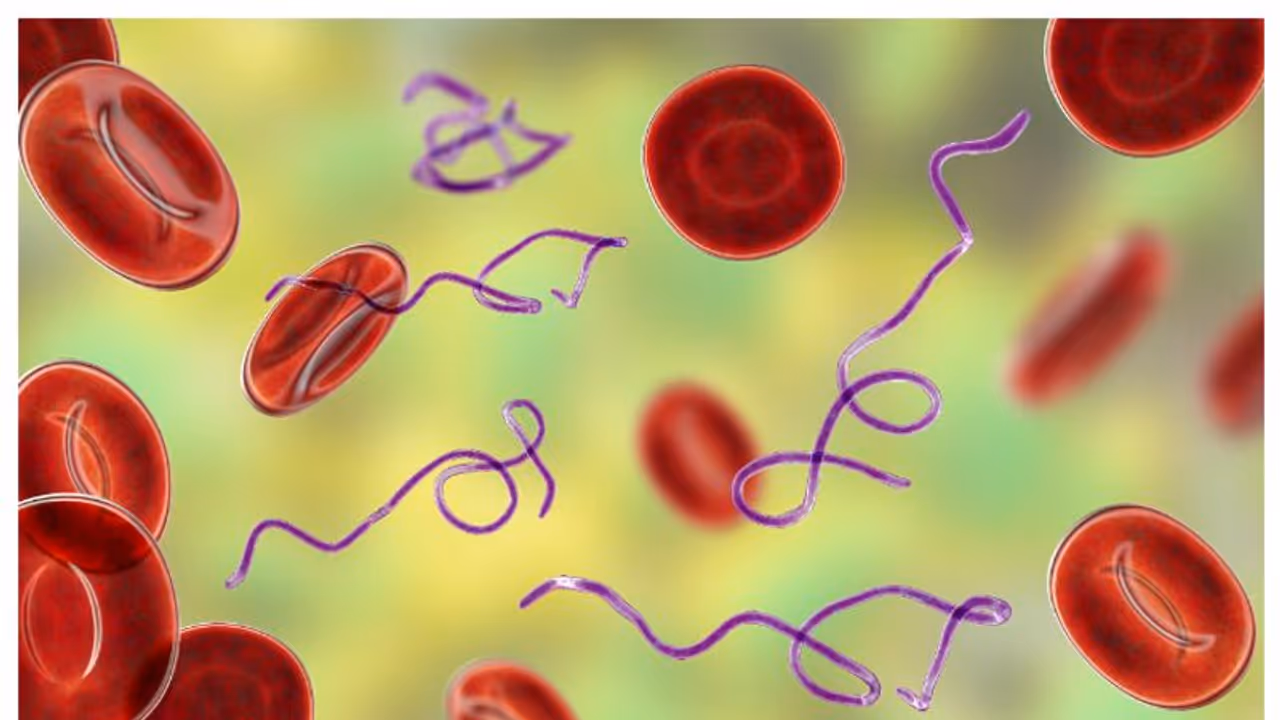 പ്ലേറ്റ്ലെറ്റ് കൗണ്ട് കുറഞ്ഞാൽ ശരീരം കാണിക്കുന്ന ചില ലക്ഷണങ്ങൾ പ്ലേറ്റ്ലെറ്റ് കൗണ്ട് കുറഞ്ഞാൽ ശരീരം കാണിക്കുന്ന ചില ലക്ഷണങ്ങൾ
