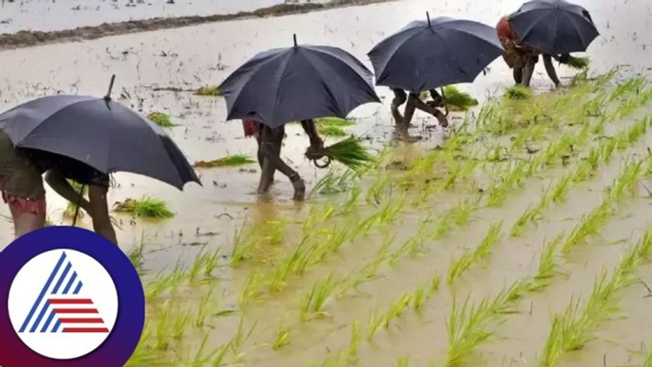 ರೈತರಿಗೆ ಶಾಕಿಂಗ್ ನ್ಯೂಸ್‌: ಜೂನ್‌ನಲ್ಲಿ ಕಡಿಮೆ ಮಳೆ ಸಾಧ್ಯತೆ; ಹವಾಮಾನ ಇಲಾಖೆ
