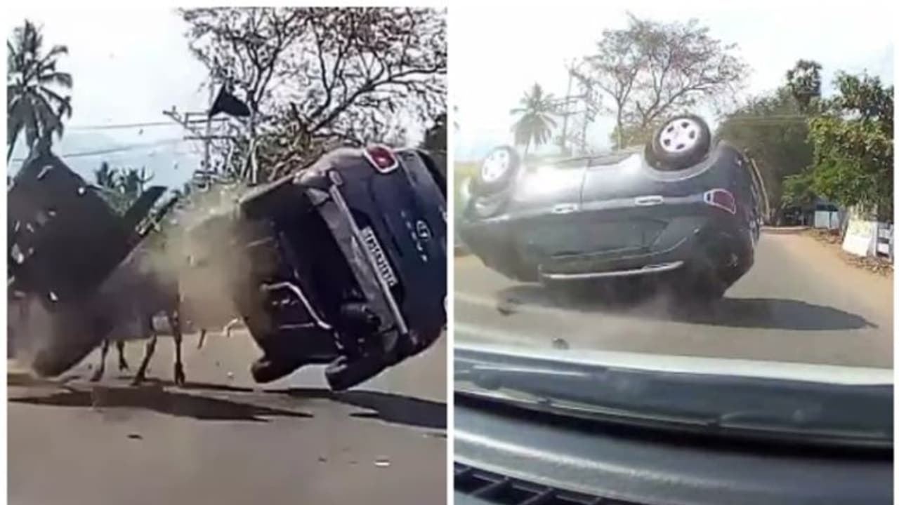 കാളവണ്ടിയിൽ തട്ടിയ വെന്യൂവിന് സംഭവിച്ചത്, കാളവണ്ടിക്ക് ഫൈവ് സ്റ്റാര് റേറ്റിംഗ് നല്കാമെന്ന് ജനം! കാളവണ്ടിയിൽ തട്ടിയ വെന്യൂവിന് സംഭവിച്ചത്, കാളവണ്ടിക്ക് ഫൈവ് സ്റ്റാര് റേറ്റിംഗ് നല്കാമെന്ന് ജനം!