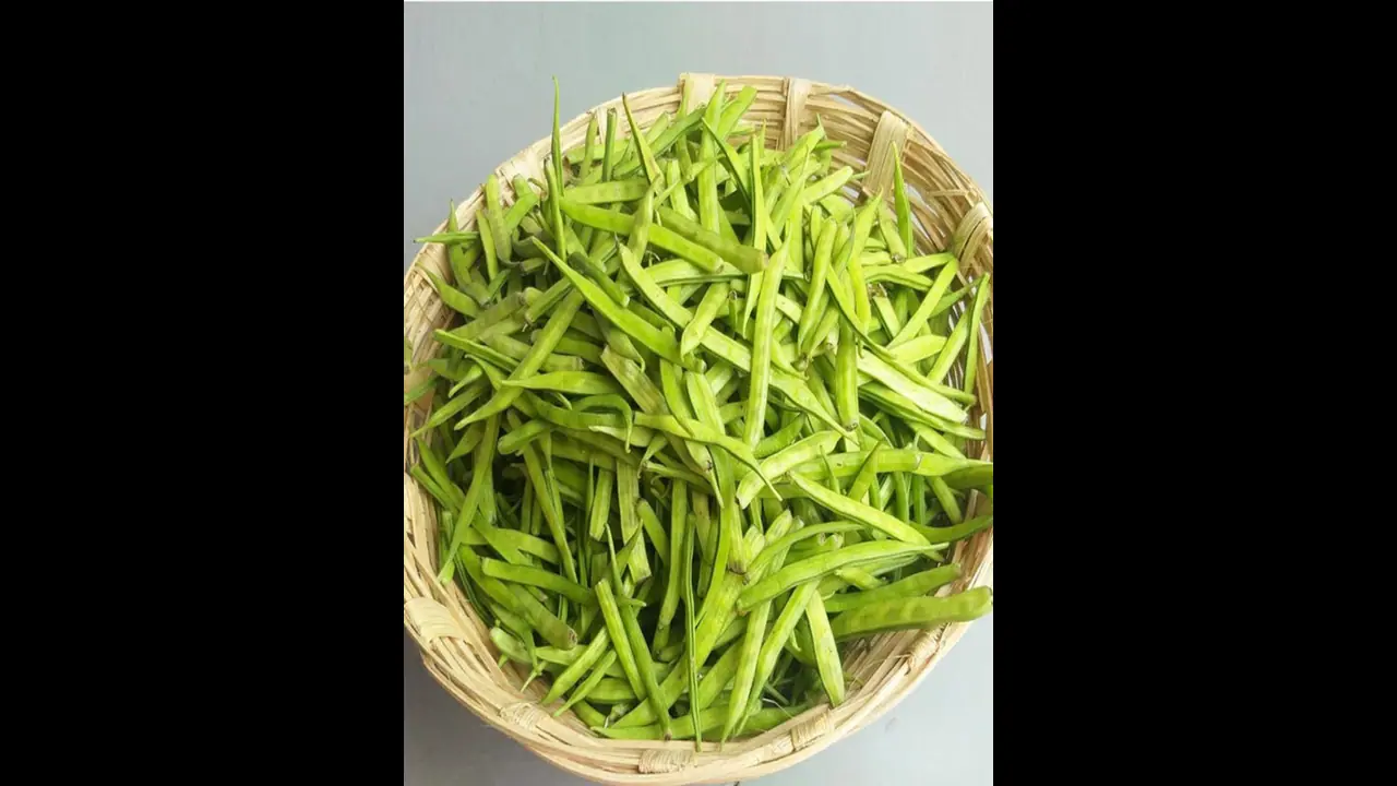 எடை குறைப்பு முதல் புற்றுநோய் தடுப்பு வரை.. கொத்தவரங்காயில் இத்தனை நன்மைகளா? எடை குறைப்பு முதல் புற்றுநோய் தடுப்பு வரை.. கொத்தவரங்காயில் இத்தனை நன்மைகளா?