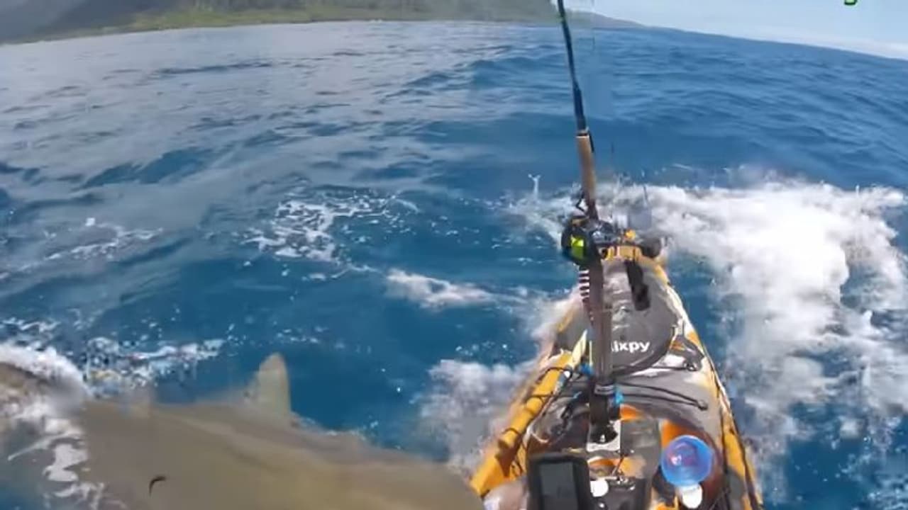 இந்திய எல்லைக்குள் அத்துமீறி நுழைந்த இலங்கை மீனவர்கள்; சுற்றி வளைத்து கைது செய்த அதிகாரிகள்