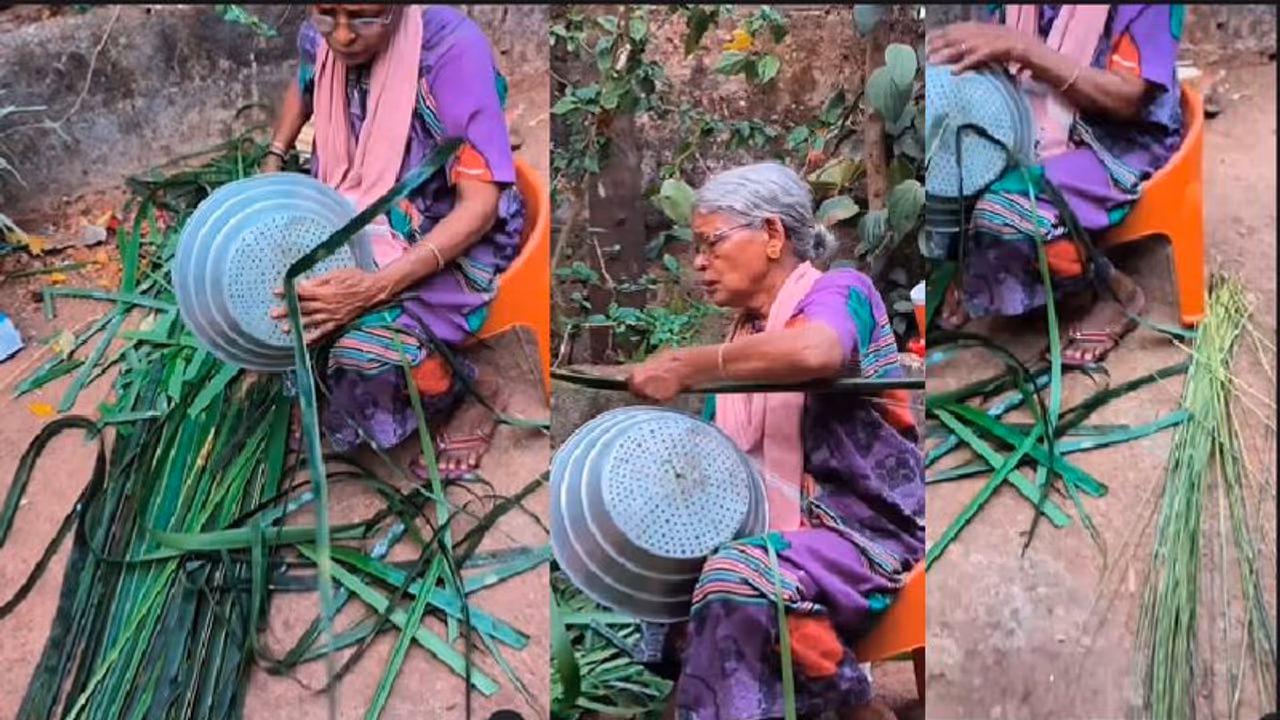 ತೆಂಗಿನ ಗರಿಯ ಪೊರಕೆ ಮಾಡುವ ಸುಲಭ ವಿಧಾನ: ಅಜ್ಜಿಯ ವೀಡಿಯೋ ಸಖತ್ ವೈರಲ್ ತೆಂಗಿನ ಗರಿಯ ಪೊರಕೆ ಮಾಡುವ ಸುಲಭ ವಿಧಾನ: ಅಜ್ಜಿಯ ವೀಡಿಯೋ ಸಖತ್ ವೈರಲ್