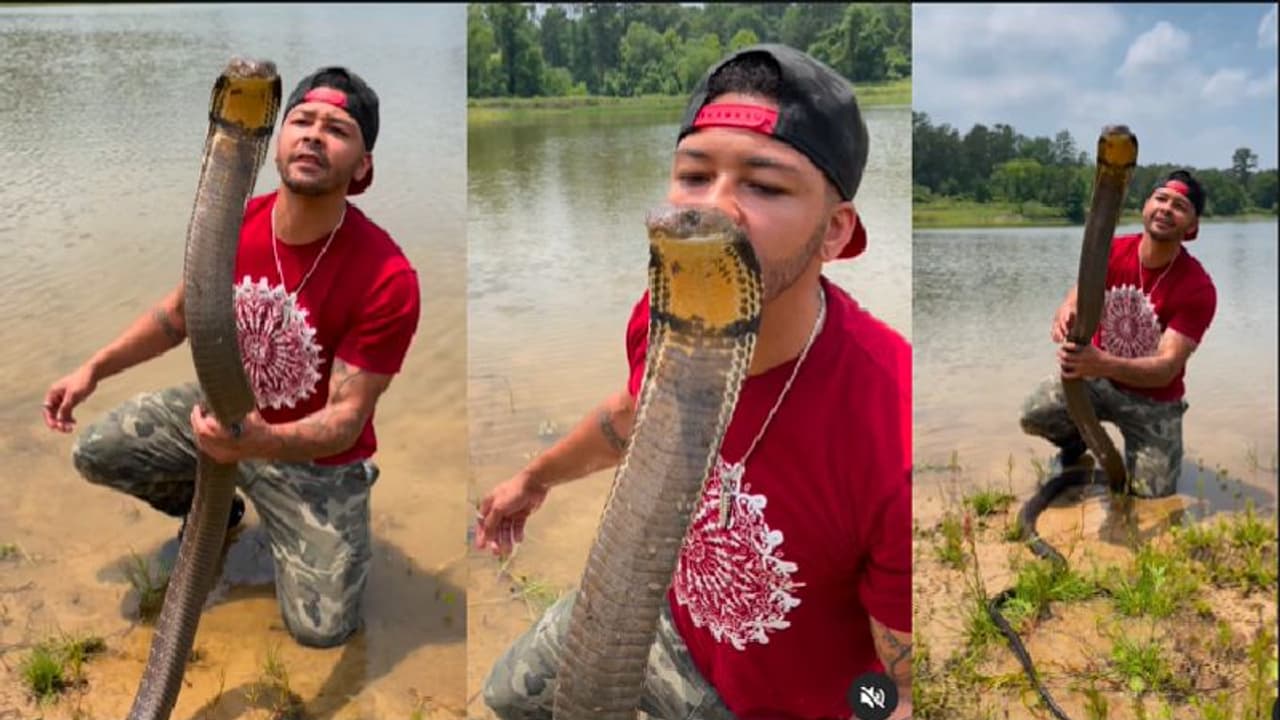 ಆಹ ಆಹಾ... ಹಾವಿಗೆ ಮುತ್ತಿಕ್ಕಿದ ಯುವಕ: ವೈರಲ್ ವೀಡಿಯೋ