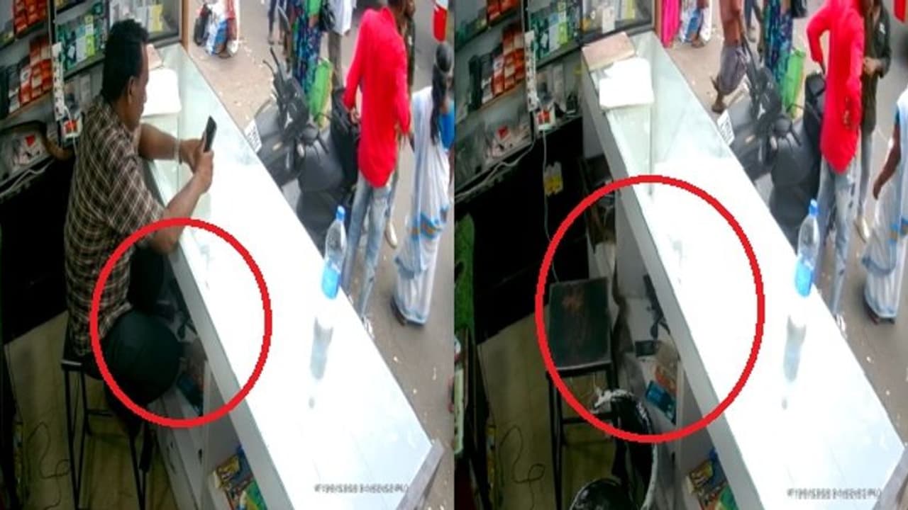 கோவையில் செல்போன் கடைக்குள் புகுந்த பாம்பு… வெளியான அதிர்ச்சி வீடியோ!! கோவையில் செல்போன் கடைக்குள் புகுந்த பாம்பு… வெளியான அதிர்ச்சி வீடியோ!!