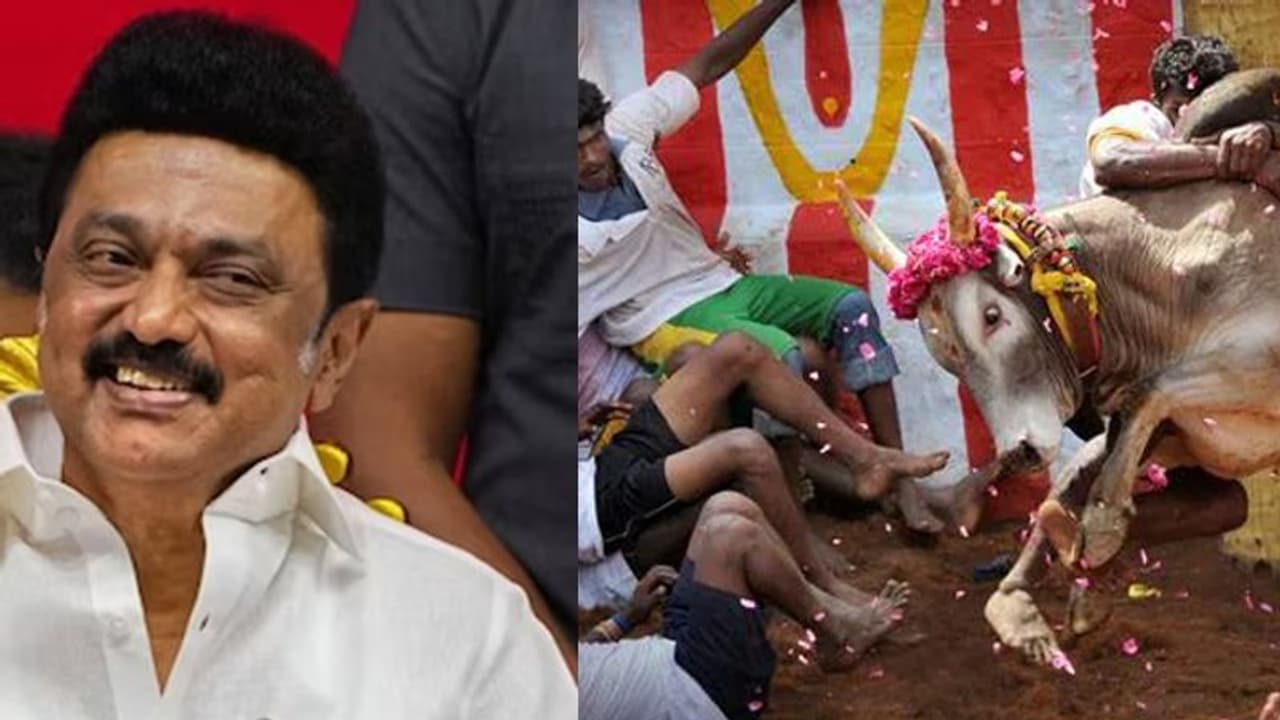 நாங்கள் நடத்திய சட்டப் போராட்டத்துக்கு கிடைத்த மகத்தான வெற்றி.. காலரை தூக்கிவிடும் முதல்வர் ஸ்டாலின்..! நாங்கள் நடத்திய சட்டப் போராட்டத்துக்கு கிடைத்த மகத்தான வெற்றி.. காலரை தூக்கிவிடும் முதல்வர் ஸ்டாலின்..!