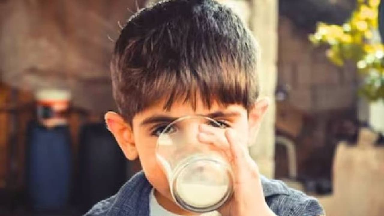 കഴുതപ്പാലിന് വില ലിറ്ററിന് അയ്യായിരമോ? ഈ ​ഗുണങ്ങളെല്ലാമുണ്ടോ?