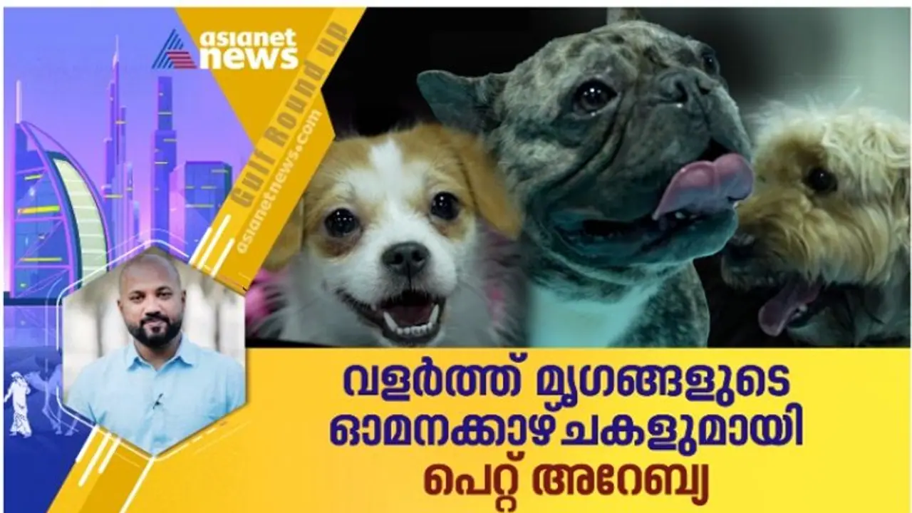 അരുമ മൃഗങ്ങളുടെ ഓമനക്കാഴ്ചകളൊരുക്കി പെറ്റ് അറേബ്യ എക്സിബിഷന്‍