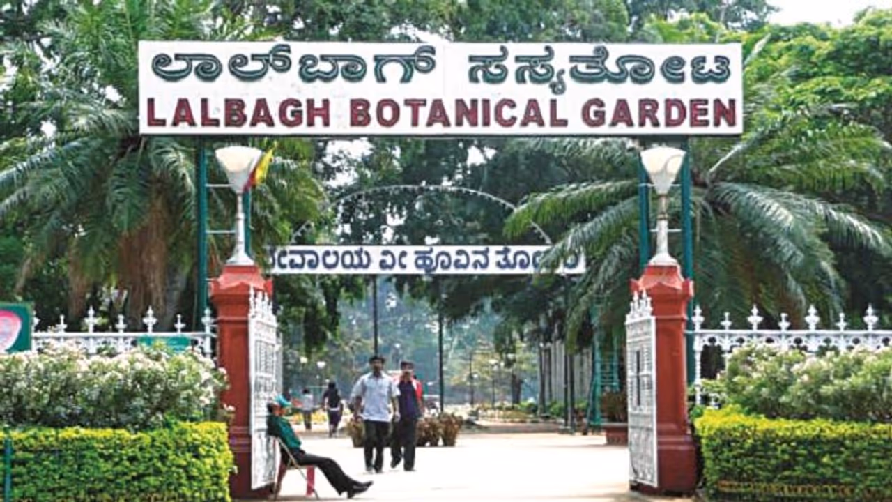 ಬೆಂಗಳೂರು: 1.5 ತಿಂಗಳಲ್ಲಿ ಲಾಲ್ಬಾಗ್ಗೆ 2.5 ಲಕ್ಷ ಜನ ಭೇಟಿ..! ಬೆಂಗಳೂರು: 1.5 ತಿಂಗಳಲ್ಲಿ ಲಾಲ್ಬಾಗ್ಗೆ 2.5 ಲಕ್ಷ ಜನ ಭೇಟಿ..!