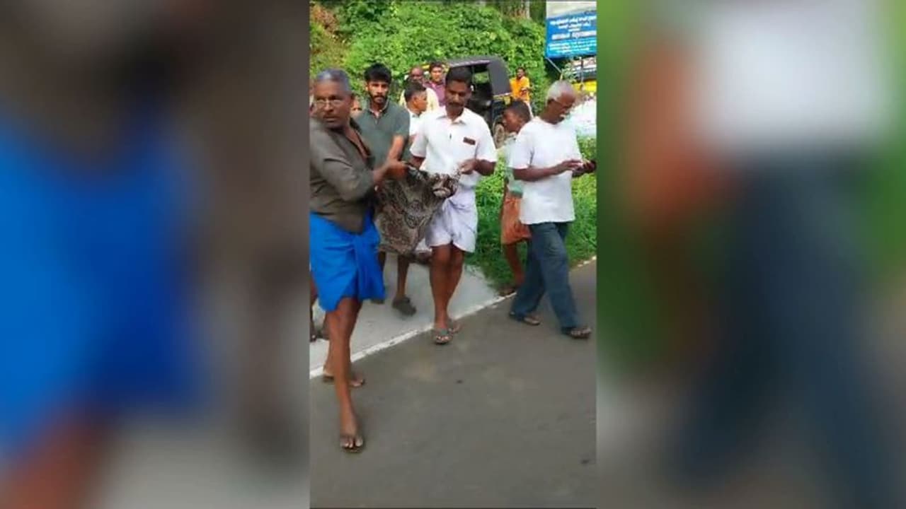 കണമലയിലെ കാട്ടുപോത്ത് ആക്രമണം; ജനവാസ മേഖലയിൽ ഇറങ്ങിയാൽ പോത്തിനെ വെടിവയ്ക്കും