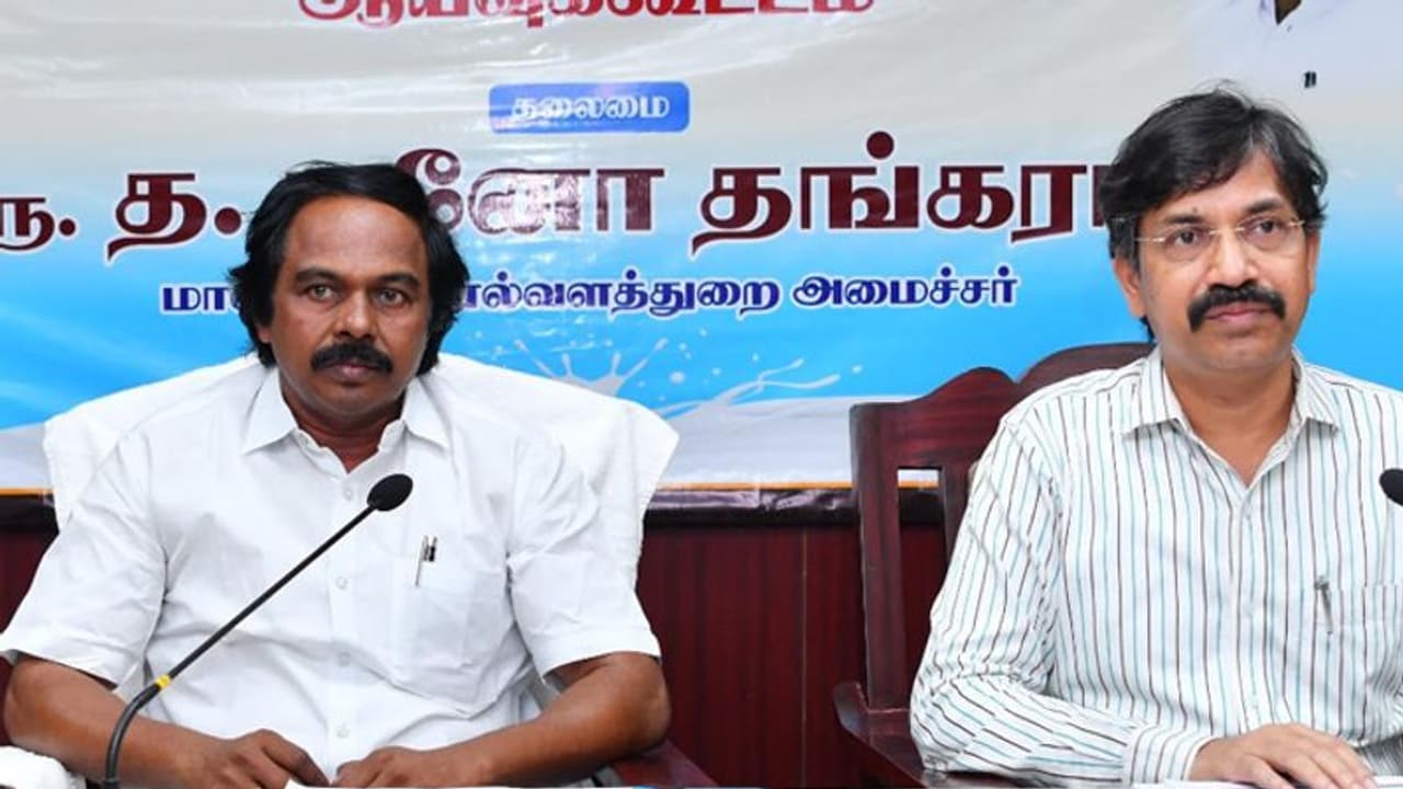 பாலில் கலப்படம் செய்தால் நடவடிக்கை.. இந்த ஆண்டு இறுதிக்குள் அது நடக்கும்.. அமைச்சர் மனோ தங்கராஜ்..! பாலில் கலப்படம் செய்தால் நடவடிக்கை.. இந்த ஆண்டு இறுதிக்குள் அது நடக்கும்.. அமைச்சர் மனோ தங்கராஜ்..!