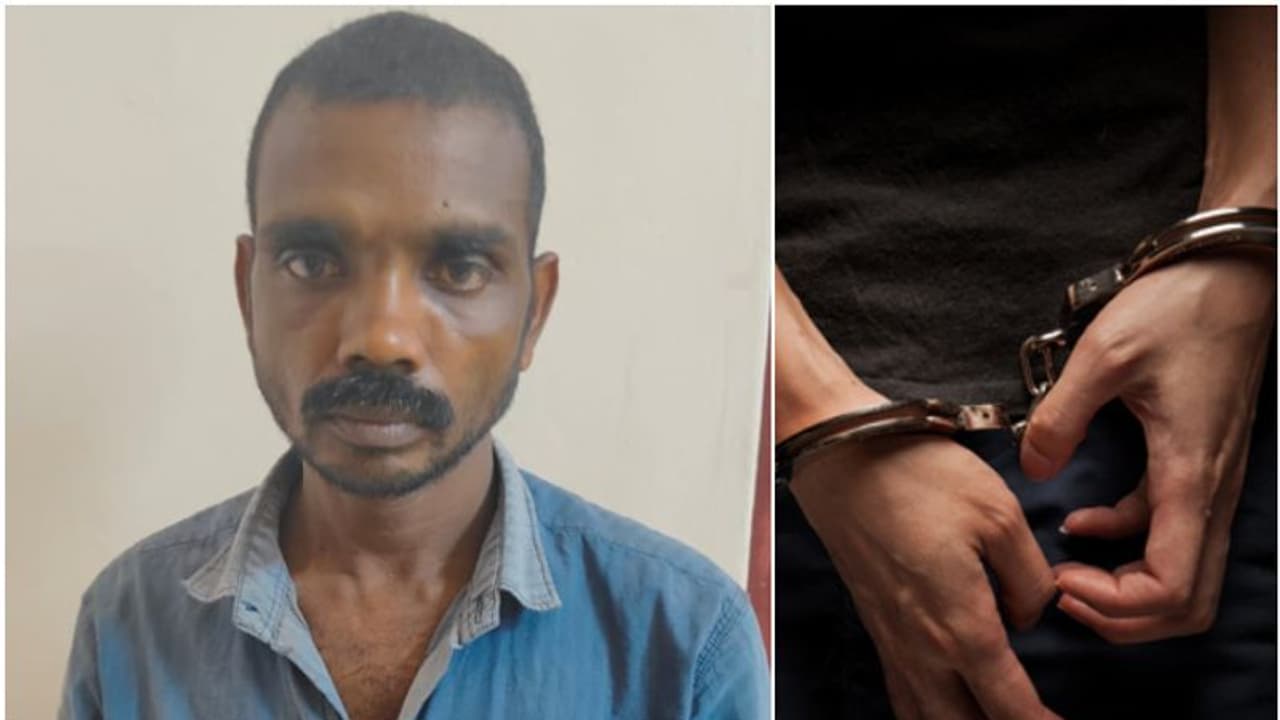 മദ്യപിക്കാൻ പണം ചോദിച്ചു, അമ്മ നിരസിച്ചു; വയോധികയെ മകൻ ചവിട്ടി, വാരിയെല്ല് തകർത്തു, മർദിച്ചു കൊലപ്പെടുത്തി