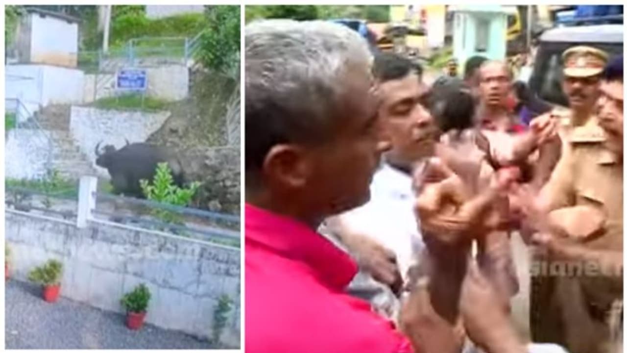 കണമല കാട്ടുപോത്ത് ആക്രമണം; പ്രതിഷേധിച്ചവർക്കെതിരെ കേസ്; കണ്ടാലറിയാവുന്ന 45 പേർക്കെതിരെ കേസ്