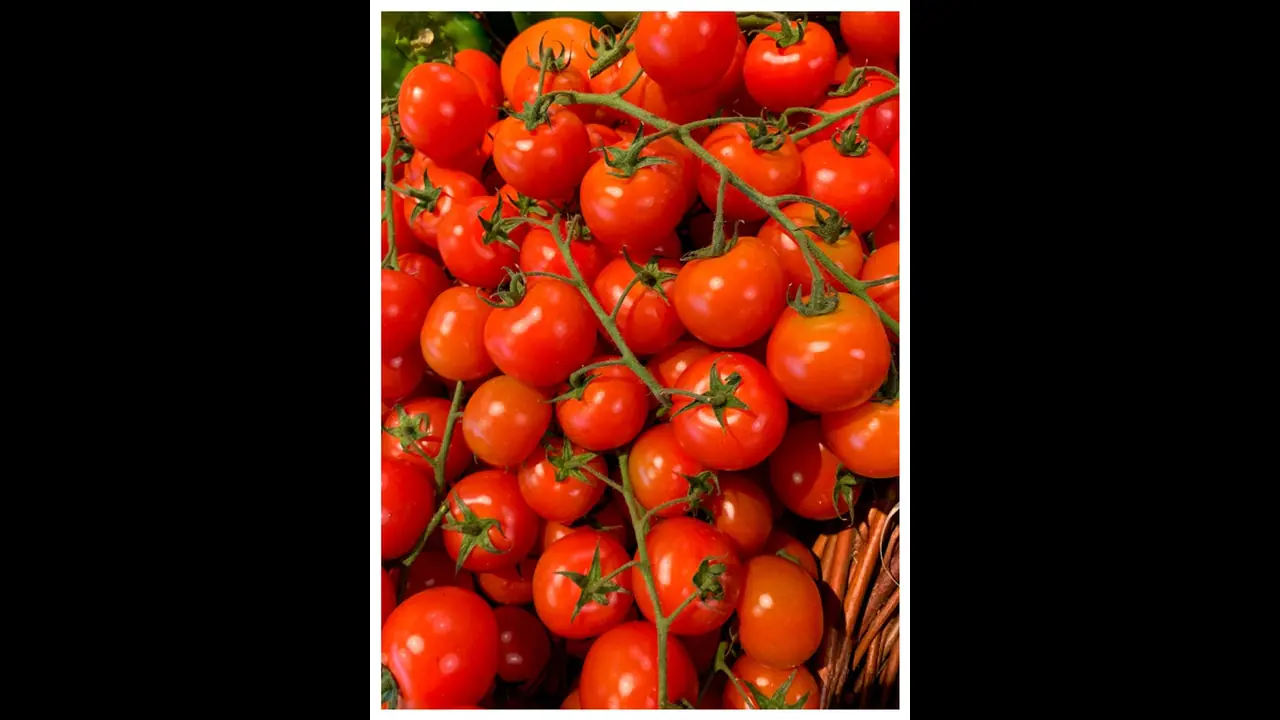 Centre directs NAFED to procure tomatoes from Andhra Pradesh, Karnataka to distribute in NCR