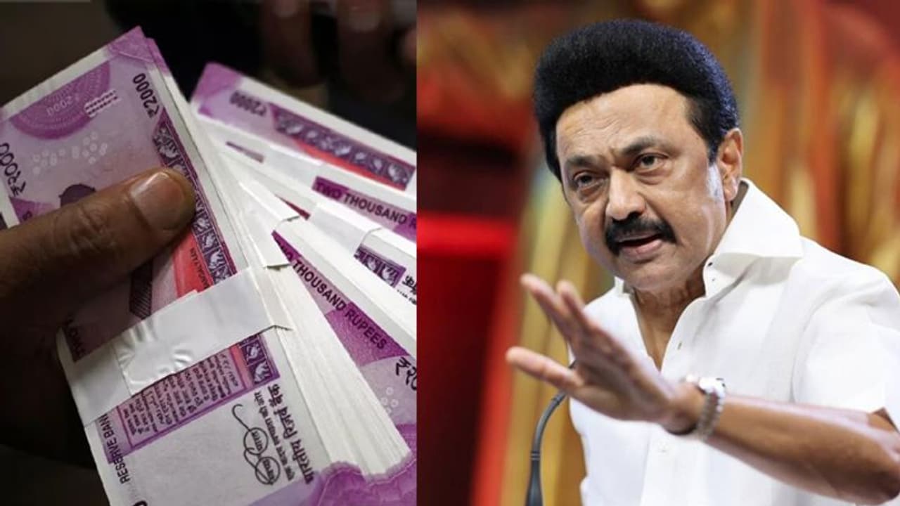 500 சந்தேகங்கள்! 1000 மர்மங்கள்! 2000 பிழைகள்! இதை மறைக்கவே இந்த நடவடிக்கை.. முதல்வர் ஸ்டாலின் விமர்சனம்.! 500 சந்தேகங்கள்! 1000 மர்மங்கள்! 2000 பிழைகள்! இதை மறைக்கவே இந்த நடவடிக்கை.. முதல்வர் ஸ்டாலின் விமர்சனம்.!