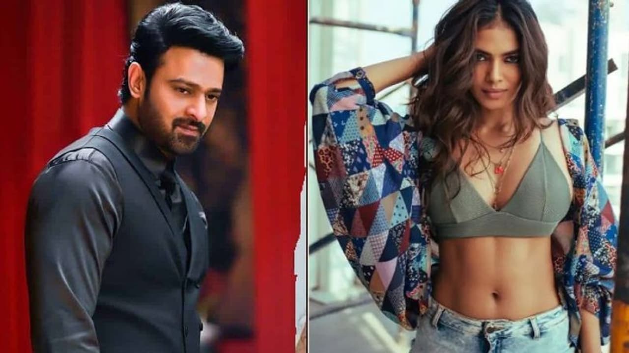 ప్రభాస్ గురించి ఒక్క మాటలో చెప్పిన హీరోయిన్ మాళవిక మోహనన్.. ఏమన్నదంటే.. ? ప్రభాస్ గురించి ఒక్క మాటలో చెప్పిన హీరోయిన్ మాళవిక మోహనన్.. ఏమన్నదంటే.. ?