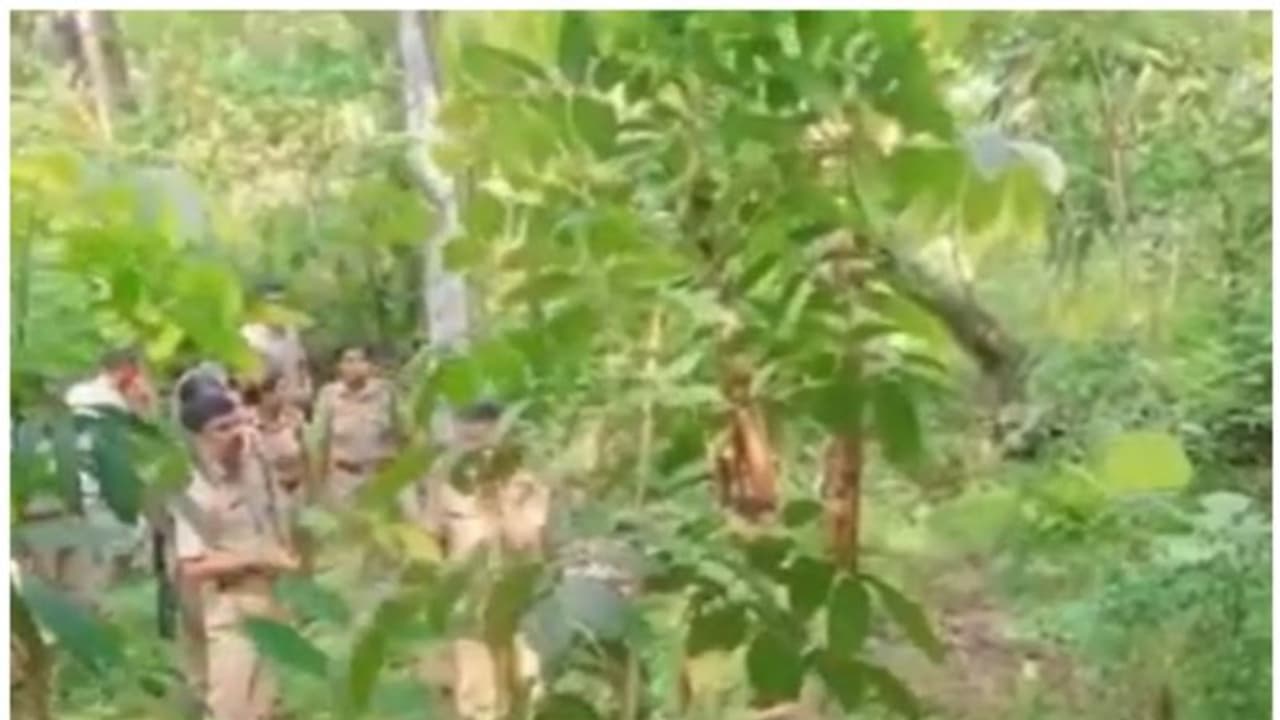 കൊല്ലം ചടയമംഗലത്ത് കാട്ടുപോത്തിന്റെ സാന്നിധ്യമെന്ന് സംശയം; വനംവകുപ്പ് പരിശോധന നടത്തി കൊല്ലം ചടയമംഗലത്ത് കാട്ടുപോത്തിന്റെ സാന്നിധ്യമെന്ന് സംശയം; വനംവകുപ്പ് പരിശോധന നടത്തി