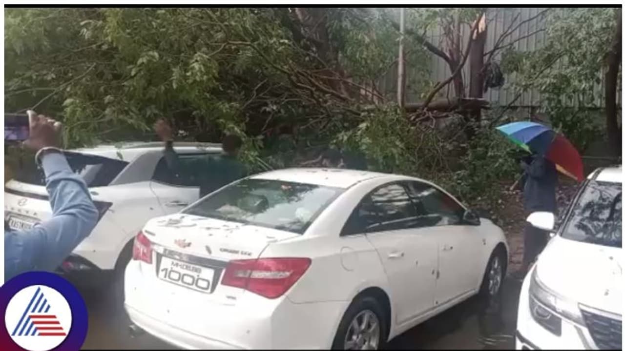 Bengaluru rain: ವಾಹನಗಳ ಮೇಲೆ ಬಿದ್ದ ಮರ, ಸಾರ್ವಜನಿಕರ ಪರದಾಟ Bengaluru rain: ವಾಹನಗಳ ಮೇಲೆ ಬಿದ್ದ ಮರ, ಸಾರ್ವಜನಿಕರ ಪರದಾಟ