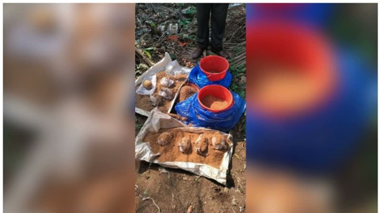 കണ്ണൂരിൽ ഉഗ്രശേഷിയുള്ള 8 നാടൻബോംബുകൾ കണ്ടെത്തി; കലുങ്കിനടിയിൽ ചാക്കിൽ കെട്ടി സൂക്ഷിച്ച നിലയിൽ കണ്ണൂരിൽ ഉഗ്രശേഷിയുള്ള 8 നാടൻബോംബുകൾ കണ്ടെത്തി; കലുങ്കിനടിയിൽ ചാക്കിൽ കെട്ടി സൂക്ഷിച്ച നിലയിൽ