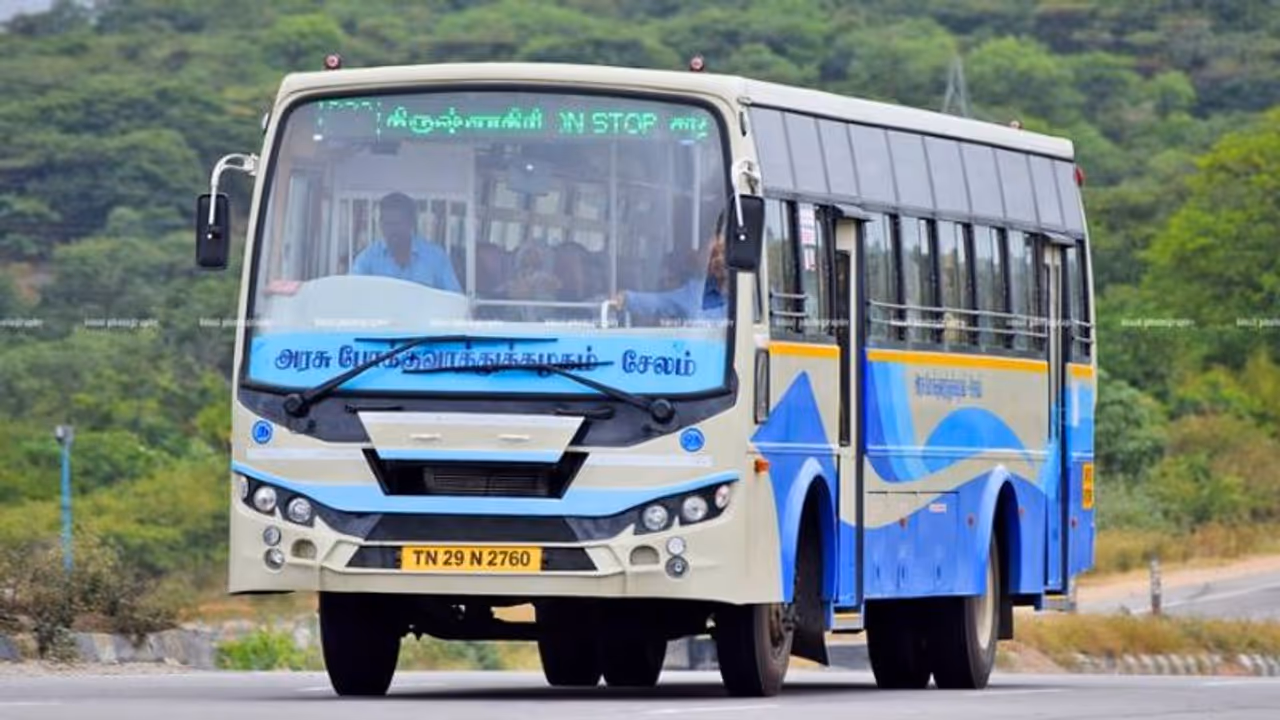 பக்ரீத் தொடர் விடுமுறை! 800 சிறப்புப் பேருந்துகள் இயக்கப்படும் என அறிவிப்பு