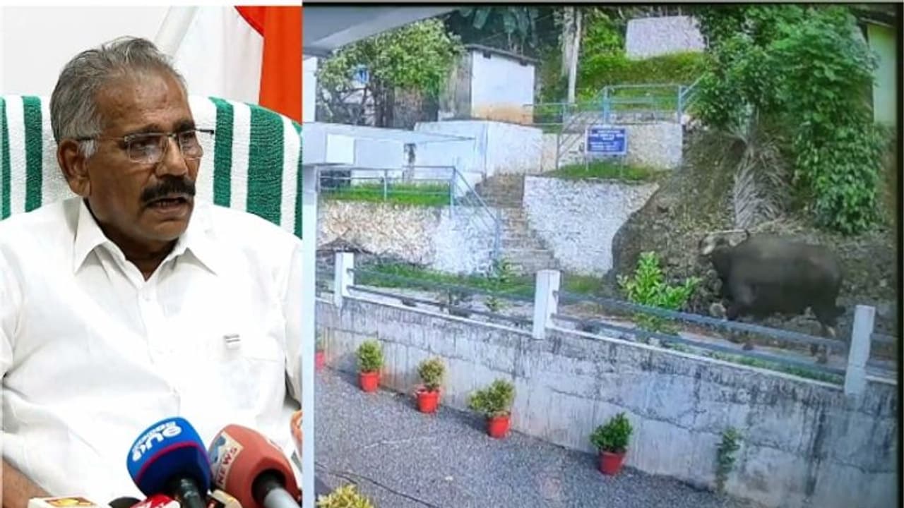 സേവ് ചെയ്ത് വച്ചോ, 18004254733 , വന്യജീവി ആക്രമണമുണ്ടായാൽ ഈ ടോൾ ഫ്രീ നമ്പരിലേക്ക് വിളിക്കാം, സഹായം ഉറപ്പ്