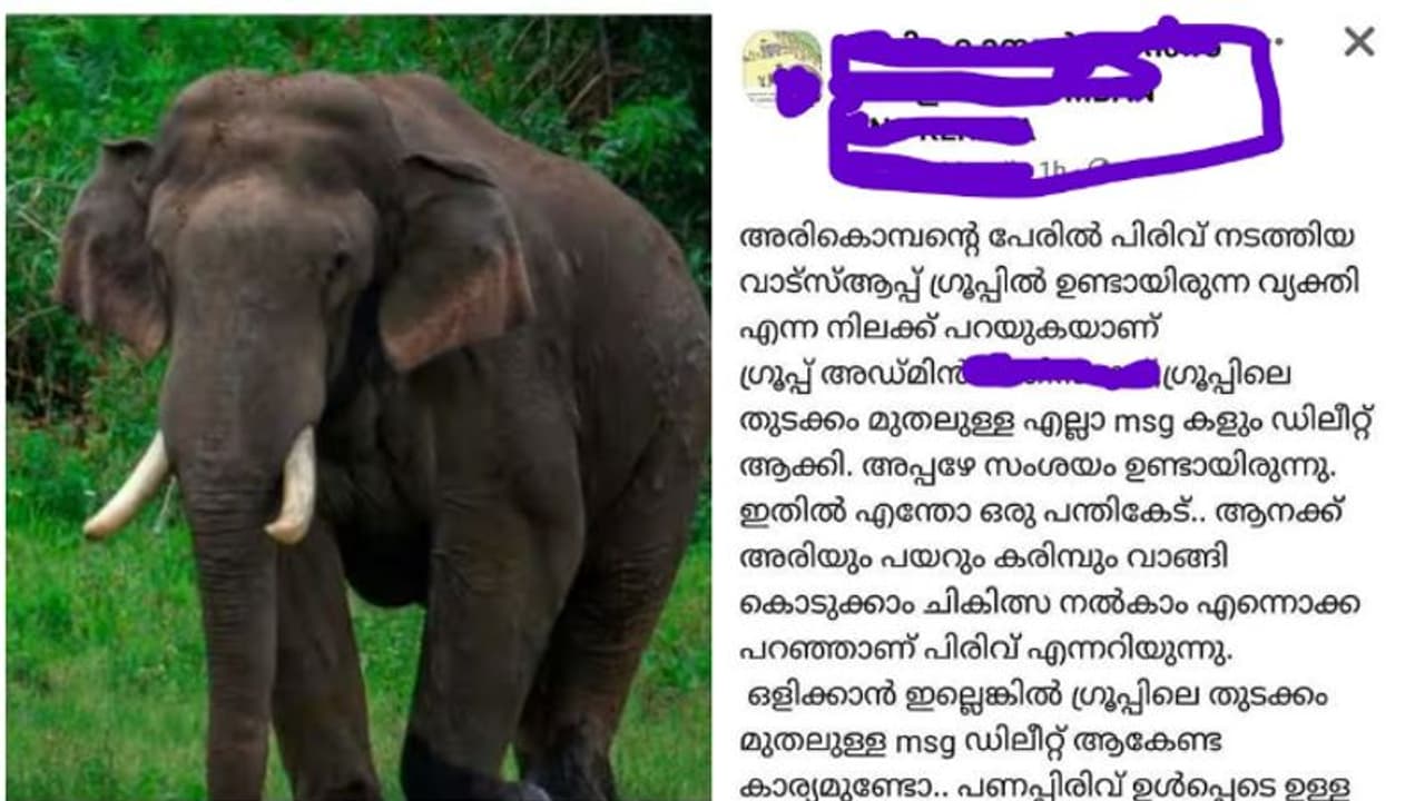 അരിക്കൊമ്പന് അരി വാങ്ങാന്‍ വാട്സ് ആപ്പ് ​ഗ്രൂപ്പിൽ പണപ്പിരിവ്; അന്വേഷണം തുടങ്ങി സ്റ്റേറ്റ് സ്പെഷ്യൽ ബ്രാഞ്ച് 