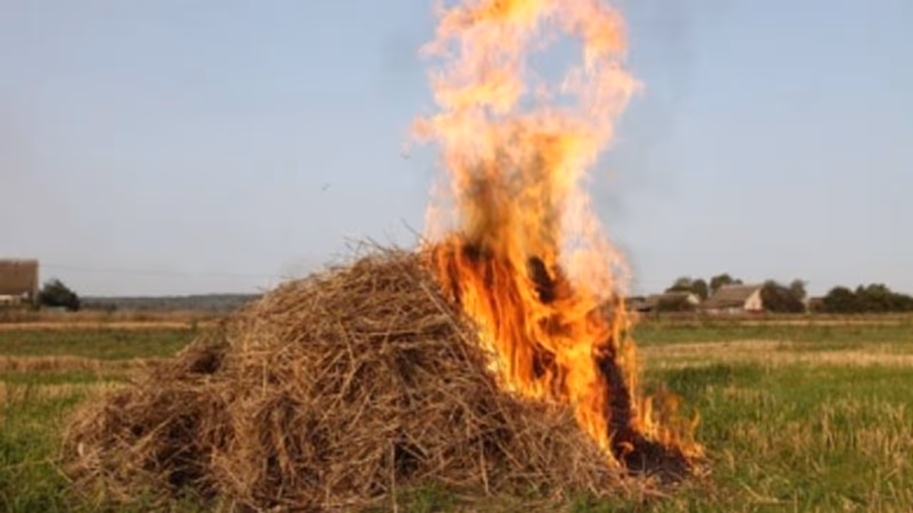 Bengaluru: Unable to withstand torture, father kills alcoholic son by setting him on fire