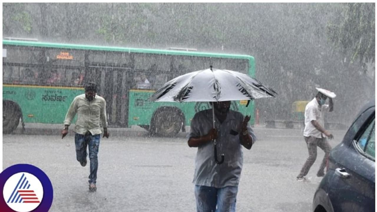 Rajasthan Rain ராஜஸ்தான் கனமழைக்கு 12 பேர் பலி! ஆரஞ்சு எச்சரிக்கை! Rajasthan Rain ராஜஸ்தான் கனமழைக்கு 12 பேர் பலி! ஆரஞ்சு எச்சரிக்கை!