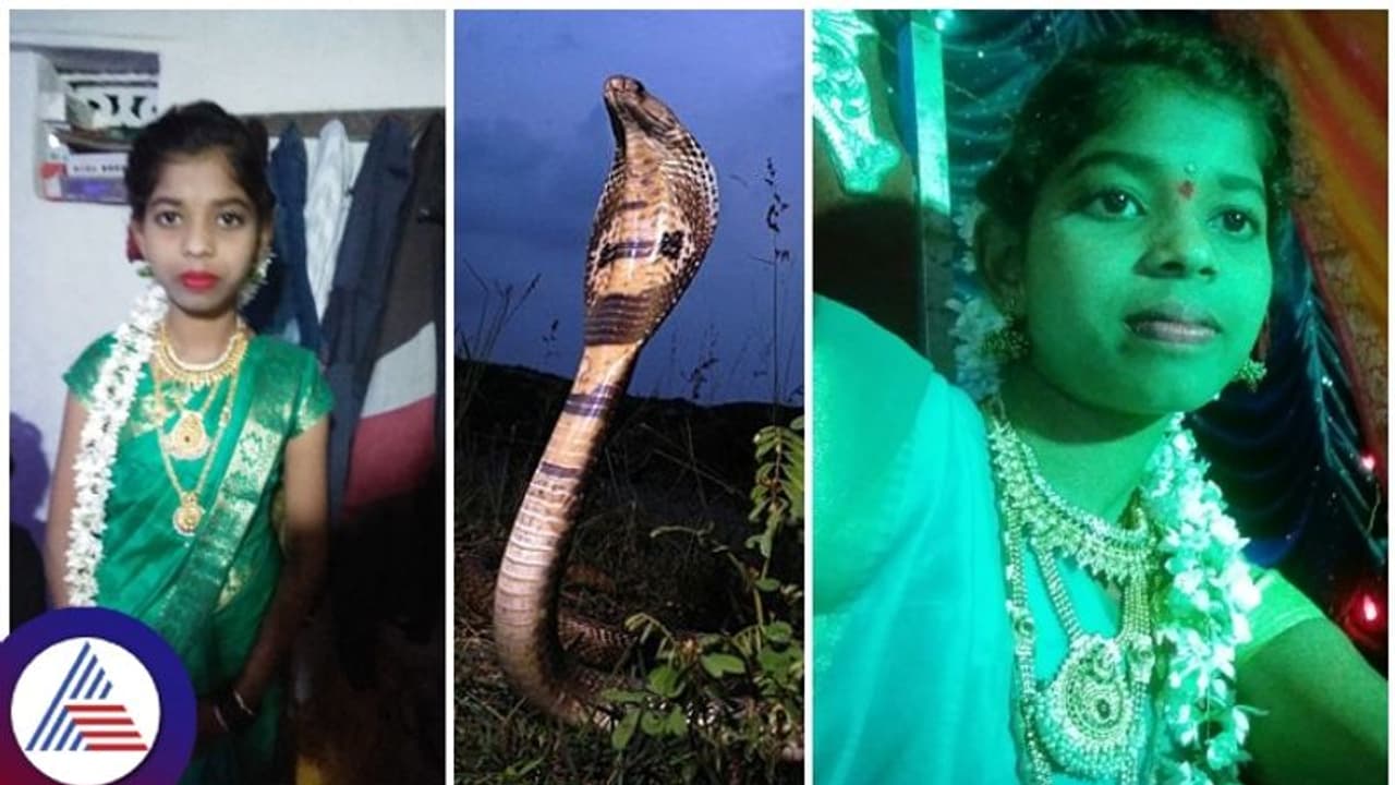 ಮಲಗಿದ್ದಾಗ ಹಾವು ಕಚ್ಚಿದೆ ಅಂದ್ರೂ ಆಸ್ಪತ್ರೆಗೆ ಸೇರಿಸಲಿಲ್ಲ: ಎದ್ದೇಳುವಷ್ಟರಲ್ಲಿ ಹೆಣವಾಗಿದ್ದ ಮಗಳು 