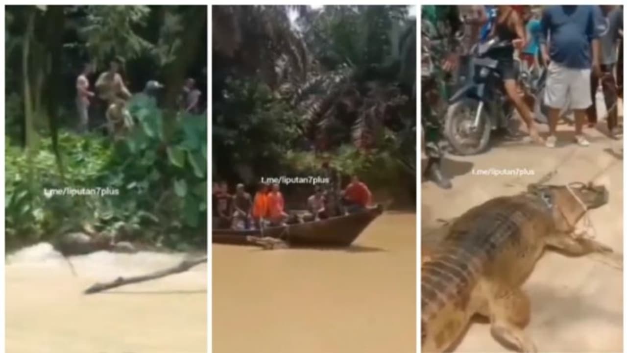 തുണി അലക്കുന്നതിനിടെ മകളുടെ കാലില്‍പ്പിടിത്തമിട്ട് മുതല; പുഴയിലേക്ക് എടുത്ത് ചാടി മകളെ രക്ഷപ്പെടുത്തി അമ്മ 