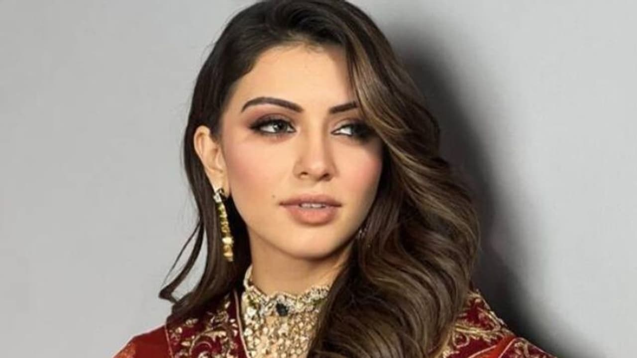 യുവ നടൻ മോശമായി പെരുമാറിയെന്ന് വാര്ത്ത, പ്രതികരിച്ച് നടി ഹൻസിക യുവ നടൻ മോശമായി പെരുമാറിയെന്ന് വാര്ത്ത, പ്രതികരിച്ച് നടി ഹൻസിക