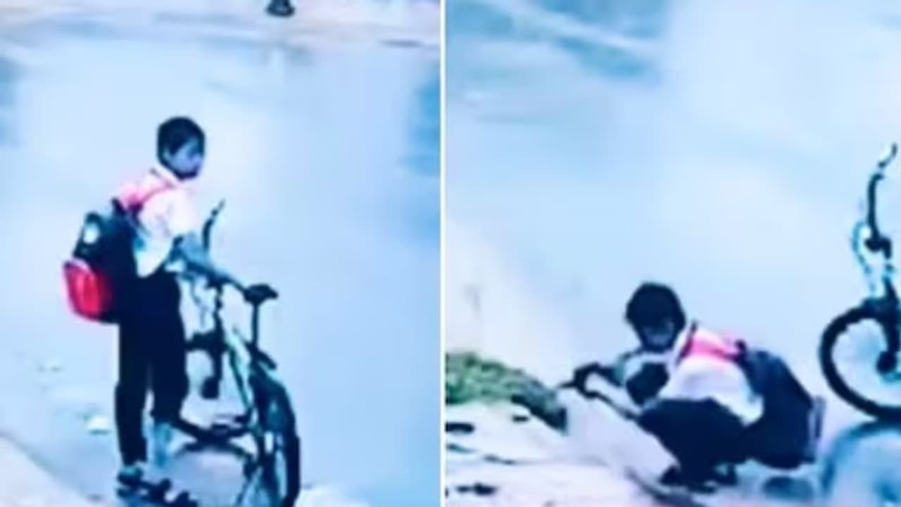 സ്കൂള് വിട്ടുവരും വഴി വിദ്യാര്ത്ഥി ചെയ്യുന്നത് കണ്ടോ...; വൈറലായ വീഡിയോ... സ്കൂള് വിട്ടുവരും വഴി വിദ്യാര്ത്ഥി ചെയ്യുന്നത് കണ്ടോ...; വൈറലായ വീഡിയോ...