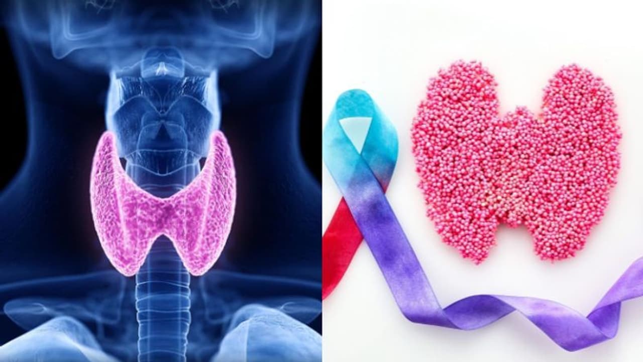 ಬ್ಯುಸಿ ಜೀವನದಲ್ಲಿ ಥೈರಾಯ್ಡ್ ಆರೋಗ್ಯ ಮರೆಯಬೇಡಿ ಬ್ಯುಸಿ ಜೀವನದಲ್ಲಿ ಥೈರಾಯ್ಡ್ ಆರೋಗ್ಯ ಮರೆಯಬೇಡಿ