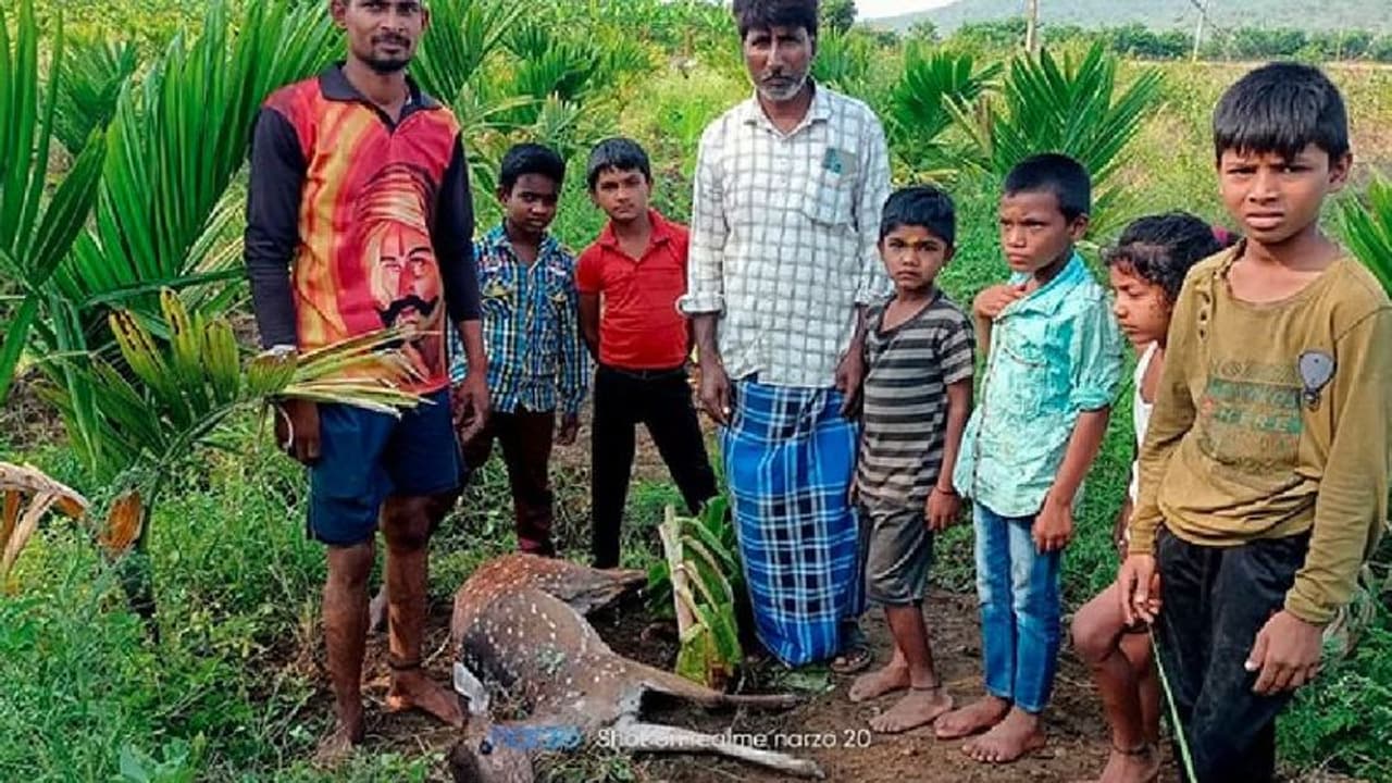 Wildlife: ನೀರು ಆಹಾರ ಅರಸಿ ನಾಡಿಗೆ ಬಂದು ಮೃತಪಡುತ್ತಿರುವ ಕಾಡುಪ್ರಾಣಿಗಳು!