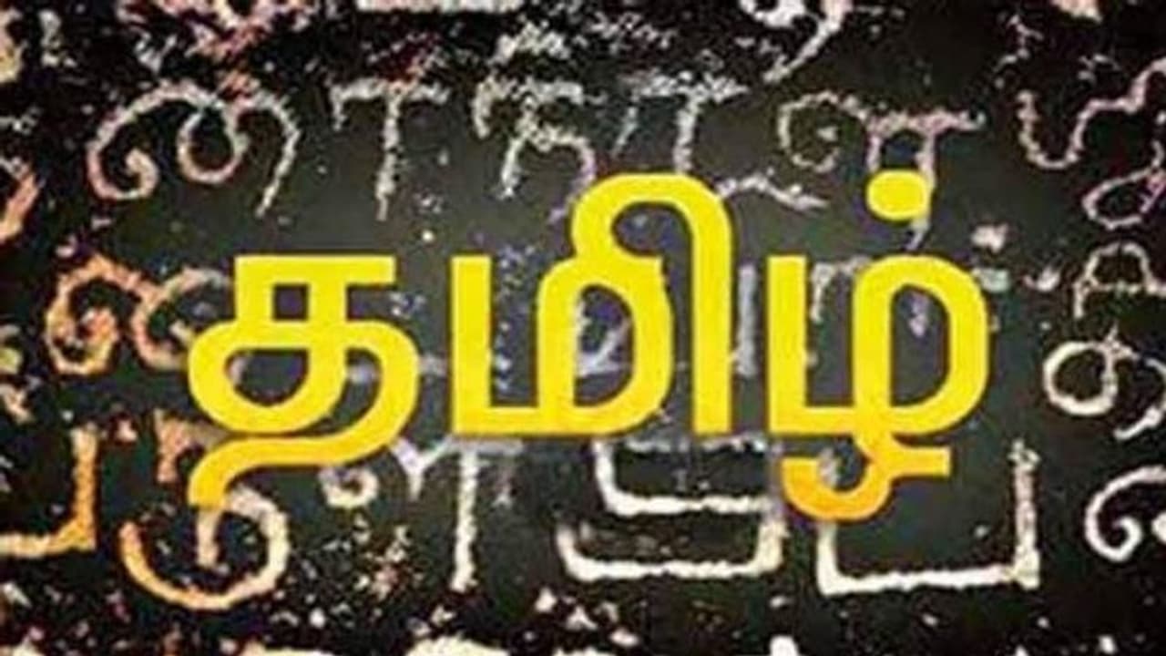 ஆங்கிலம் மட்டும் இல்லை.. உலகின் பல மொழிகளுக்கும் மூல மொழி தமிழ் தான்.. பலருக்கும் தெரியாத தகவல்.. ஆங்கிலம் மட்டும் இல்லை.. உலகின் பல மொழிகளுக்கும் மூல மொழி தமிழ் தான்.. பலருக்கும் தெரியாத தகவல்..