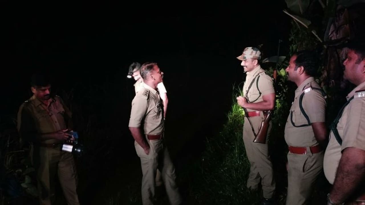 ജനത്തെ ഭീതിയിലാക്കി വീണ്ടും വന്യമൃഗങ്ങൾ; രാത്രി രണ്ടിടത്ത് കണ്ടത് കാട്ടാനയെയും കടുവയെയും