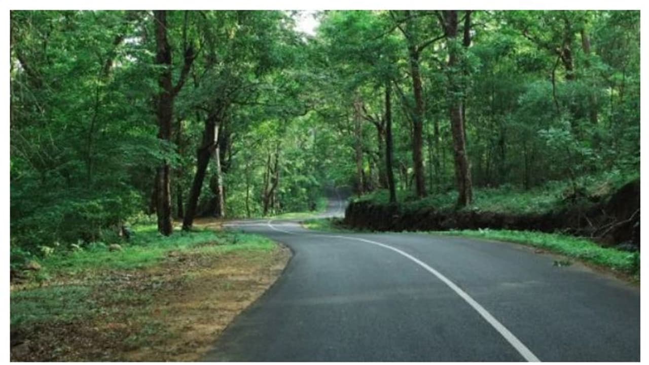 വിനോദ സഞ്ചാരികളുടെ തിരക്ക്; വാഴച്ചാൽ മലക്കപ്പാറ റൂട്ടിലെ ഗതാഗത നിയന്ത്രണം പിൻവലിച്ചു വിനോദ സഞ്ചാരികളുടെ തിരക്ക്; വാഴച്ചാൽ മലക്കപ്പാറ റൂട്ടിലെ ഗതാഗത നിയന്ത്രണം പിൻവലിച്ചു