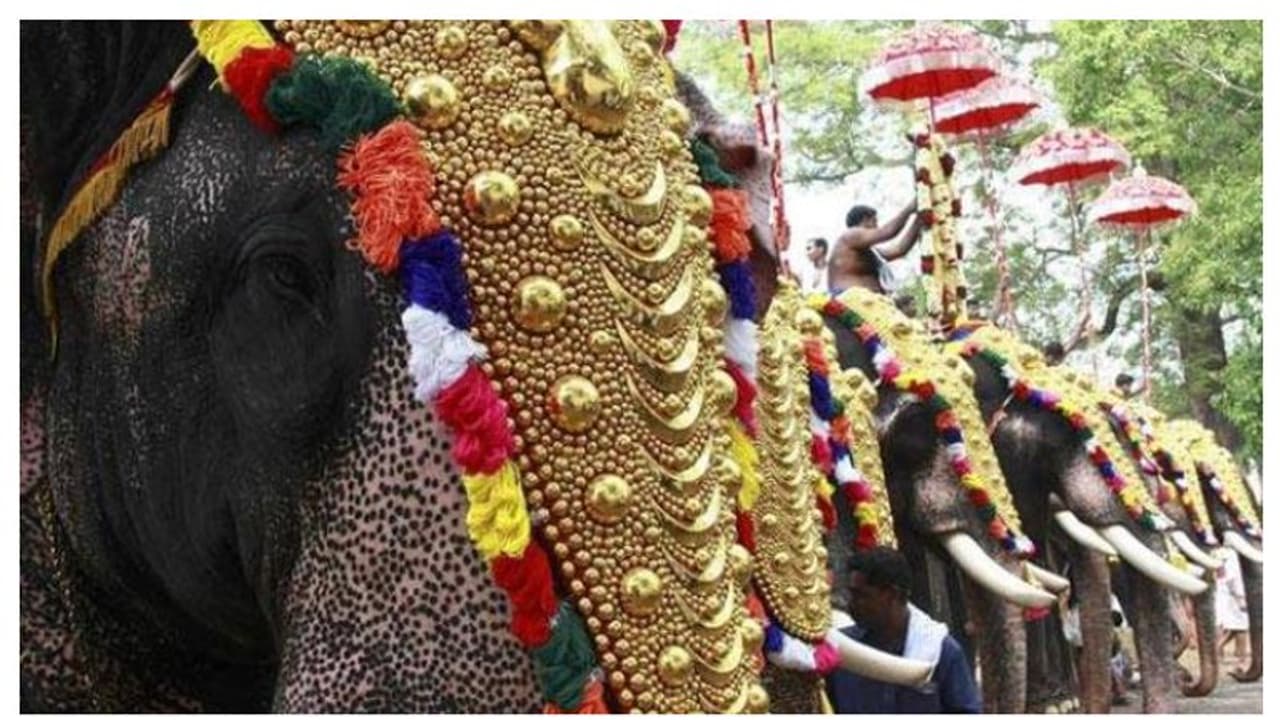 ഉത്സവങ്ങളിൽ ആനയെ എഴുന്നള്ളിക്കൽ: നിയന്ത്രണങ്ങൾ വേണമെന്ന് ഹൈക്കോടതി ഉത്സവങ്ങളിൽ ആനയെ എഴുന്നള്ളിക്കൽ: നിയന്ത്രണങ്ങൾ വേണമെന്ന് ഹൈക്കോടതി