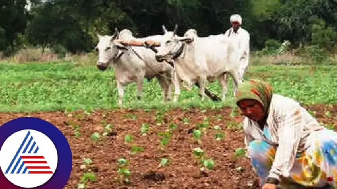 ರೈತರಿಗೆ ಮೋದಿ ಸರ್ಕಾರದಿಂದ ಗುಡ್ ನ್ಯೂಸ್: ಹಲವು ಬೆಳೆಗಳ ಕನಿಷ್ಠ ಬೆಂಬಲ ಬೆಲೆ ಹೆಚ್ಚಳ ರೈತರಿಗೆ ಮೋದಿ ಸರ್ಕಾರದಿಂದ ಗುಡ್ ನ್ಯೂಸ್: ಹಲವು ಬೆಳೆಗಳ ಕನಿಷ್ಠ ಬೆಂಬಲ ಬೆಲೆ ಹೆಚ್ಚಳ